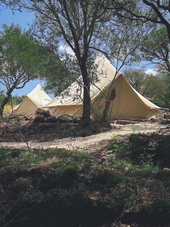 Pasare Glamping_Anglonaruralexperience 호텔 페르푸가스 외부 사진