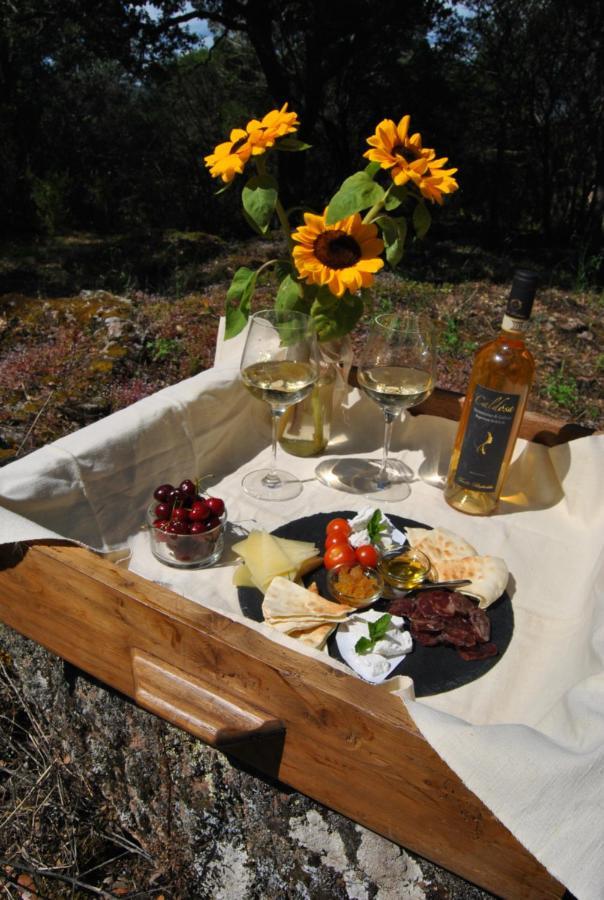 Pasare Glamping_Anglonaruralexperience 호텔 페르푸가스 외부 사진