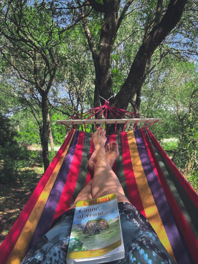 Pasare Glamping_Anglonaruralexperience 호텔 페르푸가스 외부 사진