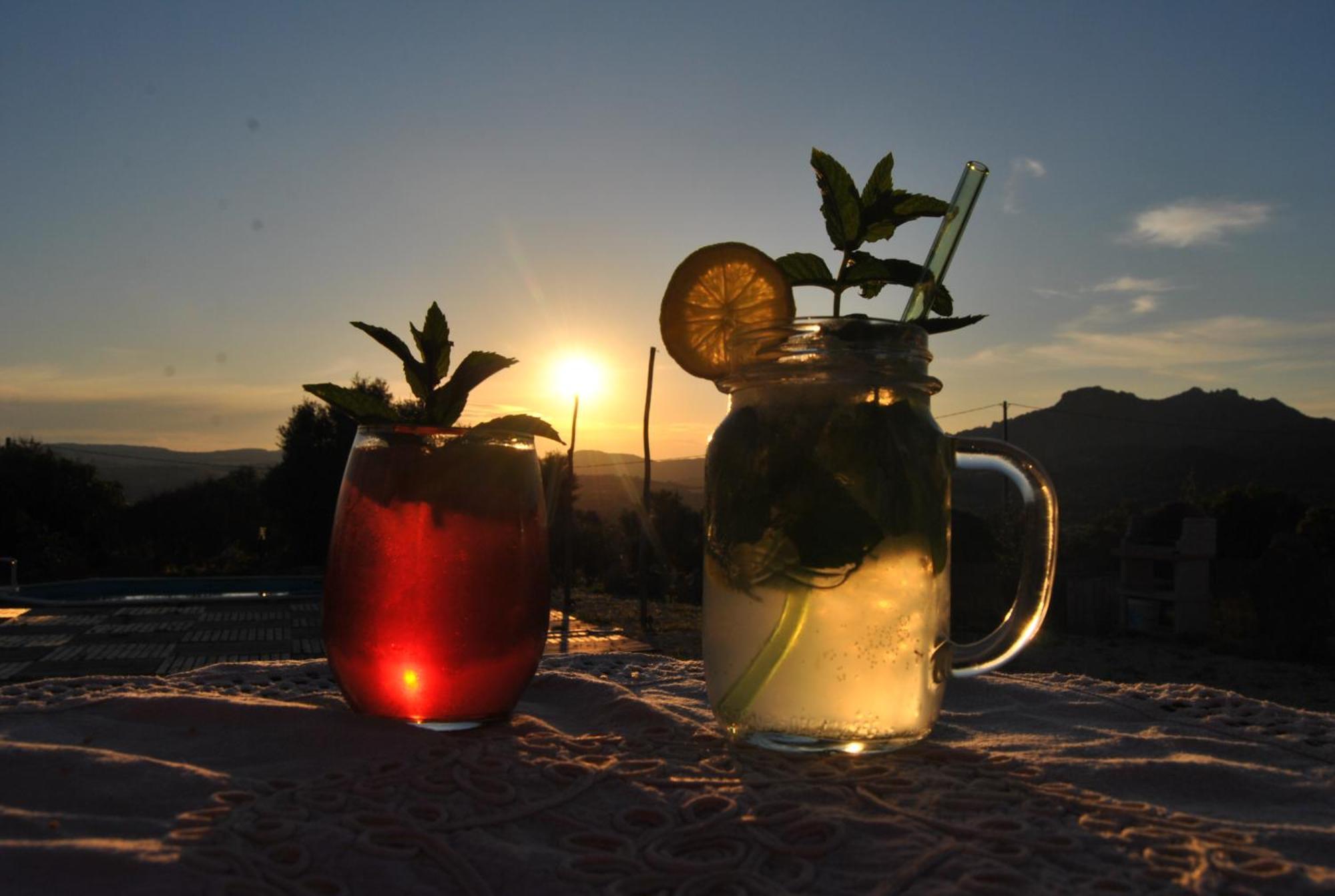 Pasare Glamping_Anglonaruralexperience 호텔 페르푸가스 외부 사진